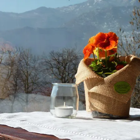 Oda ve Kahvaltı Antico Convento 3*