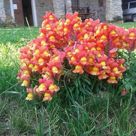 Antico Convento Nocleg ze śniadaniem